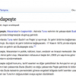 Vikipedi-Arastirma